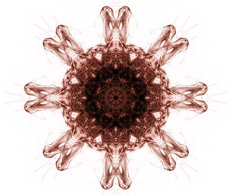 CHORÉGRAPHIE Variation #12
