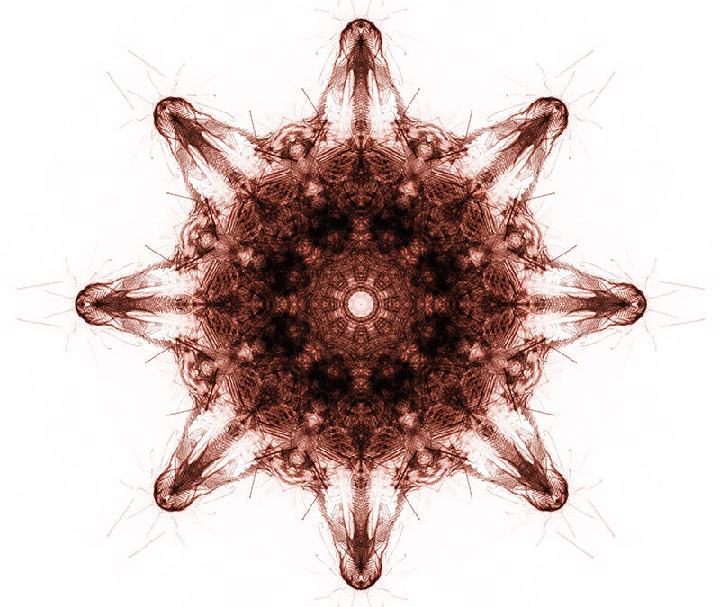 CHORÉGRAPHIE Variation #14