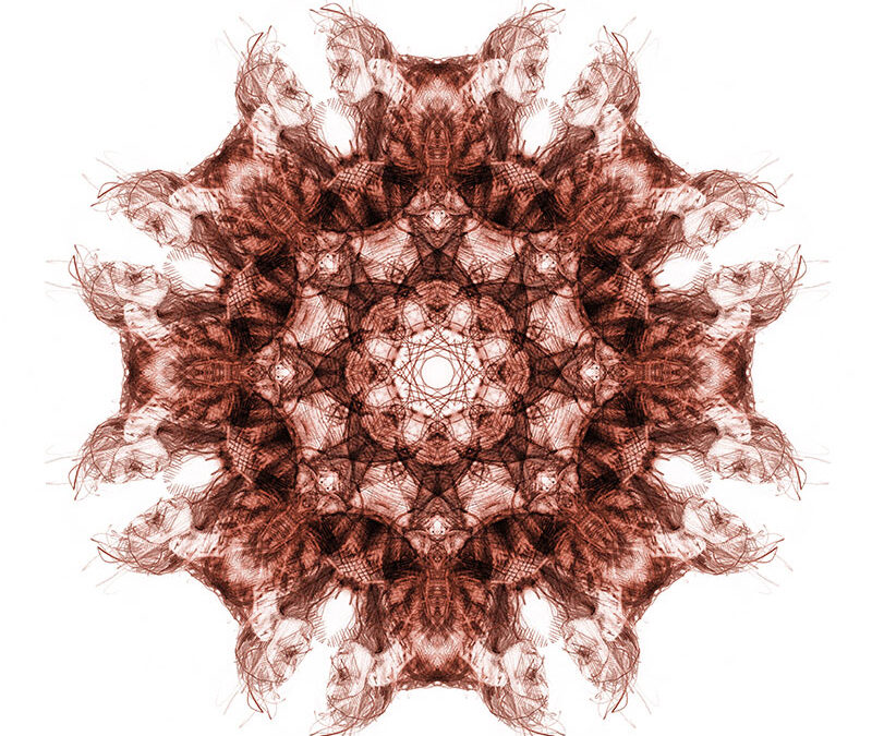 CHORÉGRAPHIE Variation #9