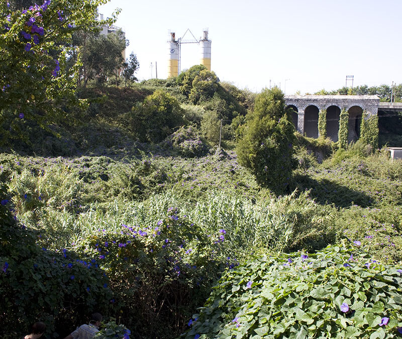 Paysages #1